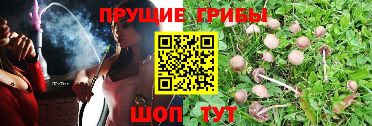 Псилоцибиновые грибы мицелий  Галлюциногенные грибы Magic Shrooms  Артёмовский  Вход с VPN 
