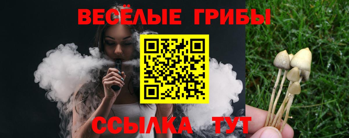Псилоцибиновые грибы MAGIC MUSHROOMS Артёмовский